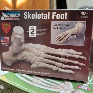 Lindberg Science Kits - Skeletal Foot with Display stand